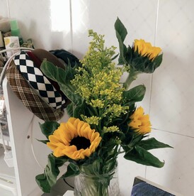 一束向日葵