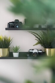 相机和绿植