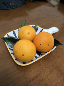 一盘橙子
