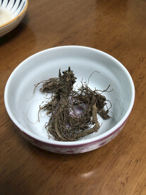 中药地胆草根（又名草鞋板）