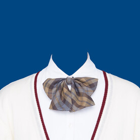 证件照换装PS图片