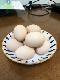 鸡蛋