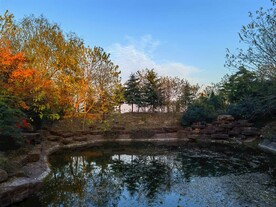 蓝天白云公园水池