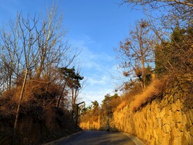 蓝天白云秋天公园景色