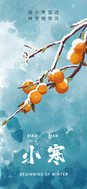 小寒海报