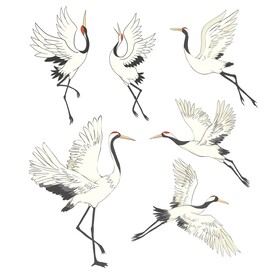 中国风仙鹤祥瑞