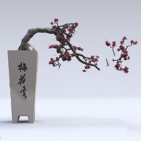 盆景3D模型