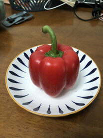 红彩椒