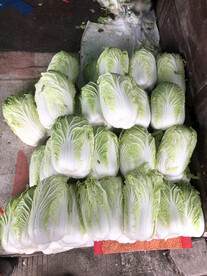 大白菜