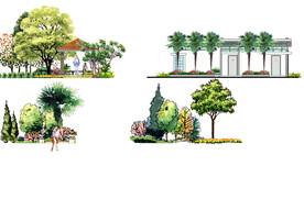 设计的平面图、手绘图