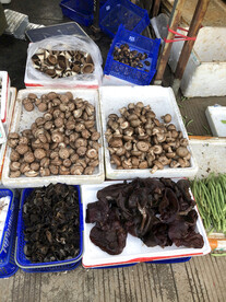 蘑菇 香菇 木耳