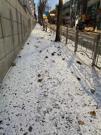 雪