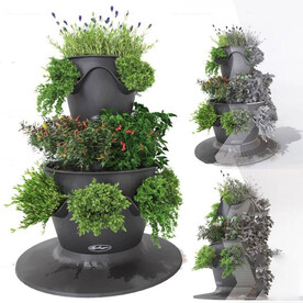 盆栽模型