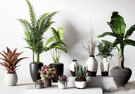 北欧绿植花卉盆栽组合