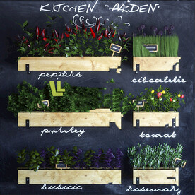 3D模型室内盆栽组合