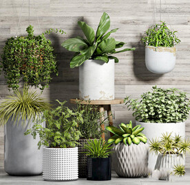 现代吊兰绿植盆栽组合3D