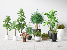 现代绿色盆摘组合3D模型