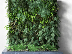 现代绿植背景墙3D模型