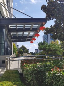 大楼前的红灯笼