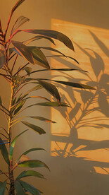 直播室内背景图