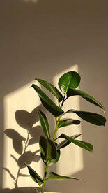 直播室内背景图