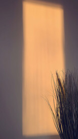 直播室内背景图