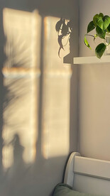 直播室内背景图