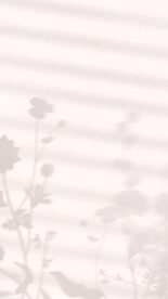 直播室内背景图