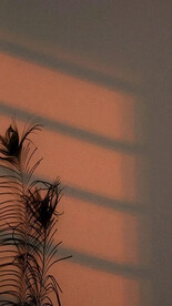 直播室内背景图