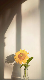 直播室内背景图