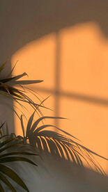 室内直播背景图