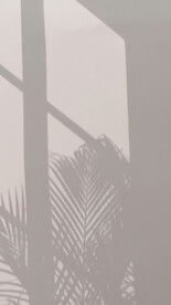 室内直播背景图