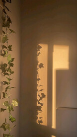 室内直播背景图