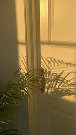 室内直播背景图