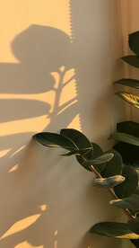 室内直播背景图