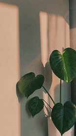 室内直播背景图