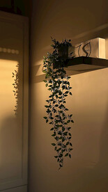 室内直播背景图