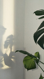 室内直播背景图