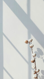 直播室内背景图