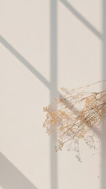 直播室内背景图