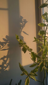 直播室内背景图