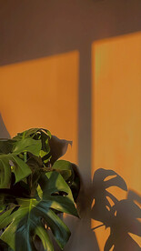 直播室内背景图