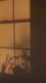 直播室内背景图