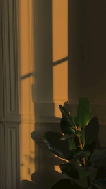 直播室内背景图