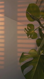 直播室内背景图