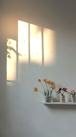 室内直播背景图 