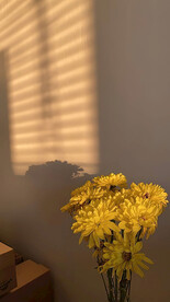 直播室内背景图