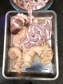 猪大肠 猪小肠 猪心