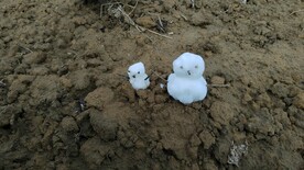 泥巴地里的两个迷你小雪人