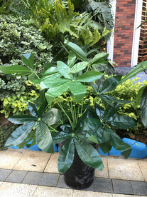 装饰塑料花八角金盘